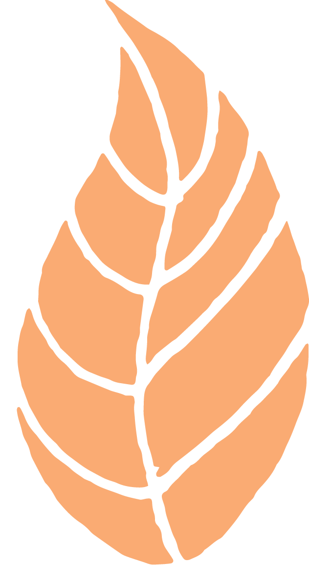 leaf icon